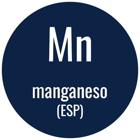 manganese factsheet link (esp)