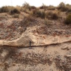 alluvial channel deposit