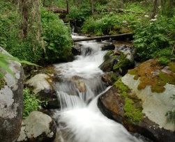 Pecos River