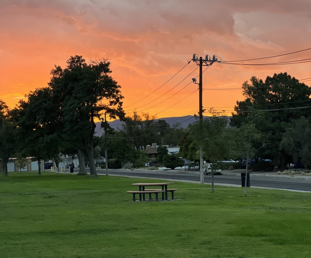 A lush, green public city park under a beautiful New Mexico sunset! 